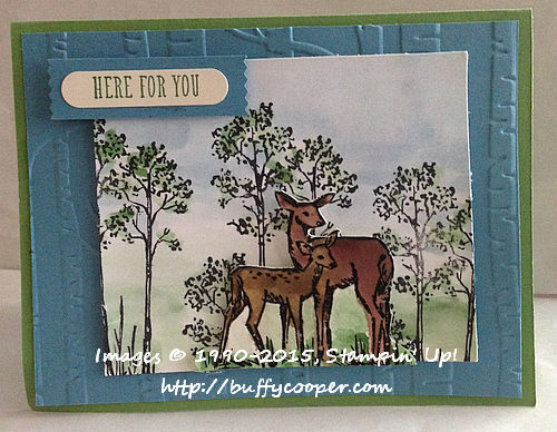 In the Meadow, And Many More, Stampin' Up!