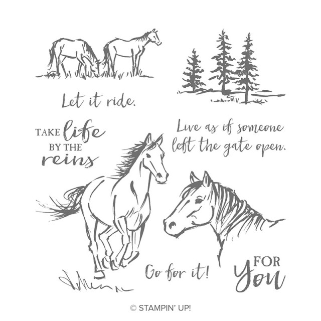 Let It Ride, Stampin' Up!